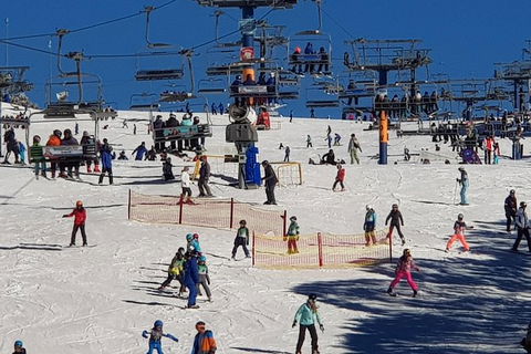 Mt Buller Day Trip From Melbourne - Darwin Holiday 13