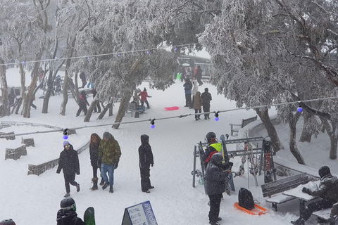 Mt Buller Day Trip From Melbourne - Darwin Holiday 12