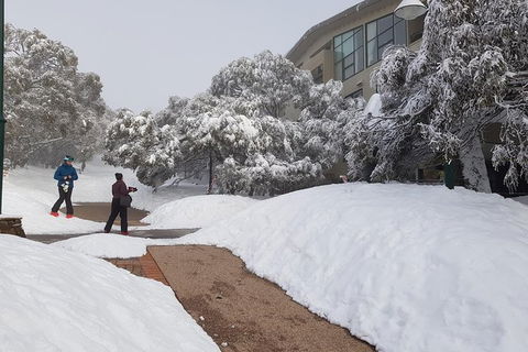 Mt Buller Day Trip From Melbourne - Darwin Holiday 14
