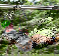 Surf Coast and Livewire Tour - Darwin Holiday