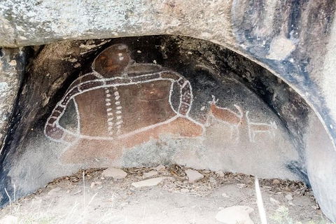 2-Day Great Ocean Road And Grampians Tour Roundtrip From Melbourne - Darwin Holiday 14