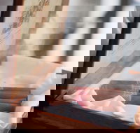 Melbourne Chocolate and Other Desserts Walking Tour - Darwin Holiday