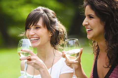 Yarra Valley Wine Tasting Tours - Darwin Holiday 0