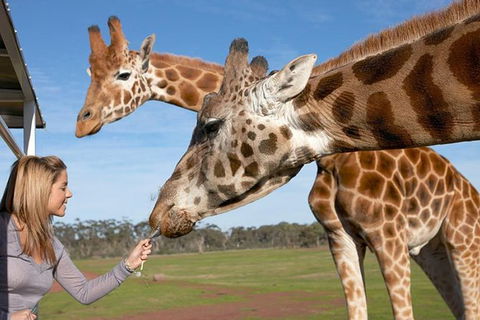 Melbourne City Card (2 Days): Visit Unlimited Attractions! - Darwin Holiday 12