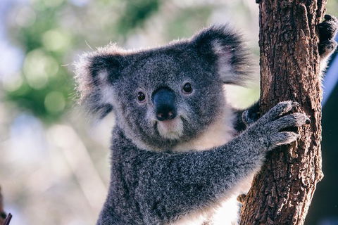 AUSTRALIAN NATIVE FOOD TOUR From Melbourne - Darwin Holiday 1