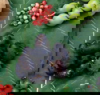 AUSTRALIAN NATIVE FOOD TOUR from Melbourne - Darwin Holiday