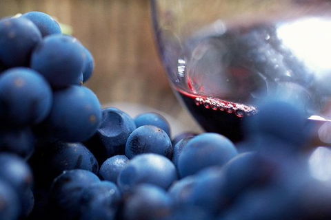 Ultimate Mornington Peninsula Food And Wine Small Group Tour - Darwin Holiday 1