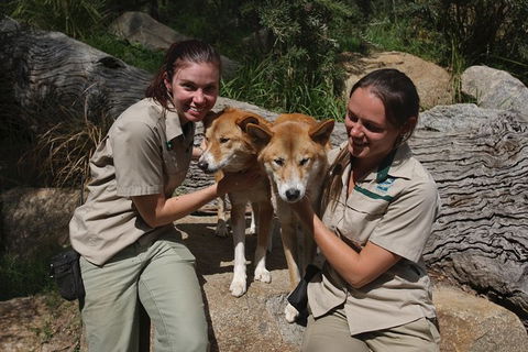Healesville Sanctuary And Yarra Valley Day Trip From Melbourne - Darwin Holiday 12