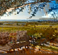 Yarra Valley Small-Group Wine Tour with 2 Course Lunch and Morning Tea - Darwin Holiday