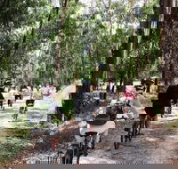 Cycle Tour  Guided  Yarra Valley Victoria  Food  Wine Region - Darwin Holiday