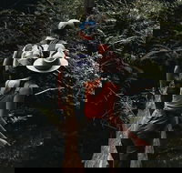 Small Group - 12 Apostles Otways  Great Ocean Road Day Tour from Melbourne - Darwin Holiday