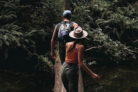 Small Group - 12 Apostles, Otways & Great Ocean Road Day Tour From Melbourne - Darwin Holiday 0