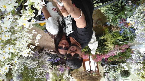 Melbourne Super Saver: City Sightseeing Tour And Phillip Island Penguin Parade Plus Viewing Platform - Darwin Holiday 7