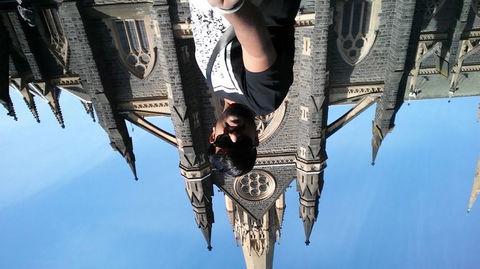 Melbourne Super Saver: City Sightseeing Tour And Phillip Island Penguin Parade Plus Viewing Platform - Darwin Holiday 8