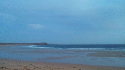 Melbourne Super Saver: City Sightseeing Tour And Phillip Island Penguin Parade Plus Viewing Platform - Darwin Holiday 5