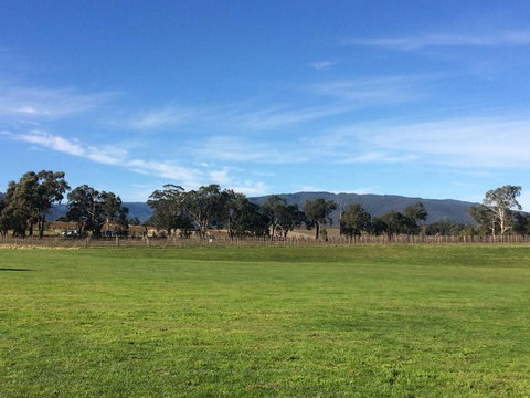 Yarra Valley Wineries And Puffing Billy Steam Train Tour From Melbourne - Darwin Holiday 17