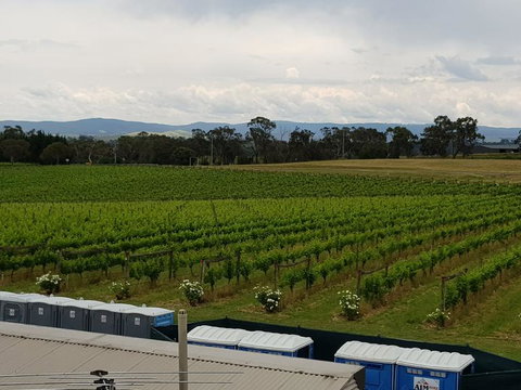 Yarra Valley Wineries And Puffing Billy Steam Train Tour From Melbourne - Darwin Holiday 4