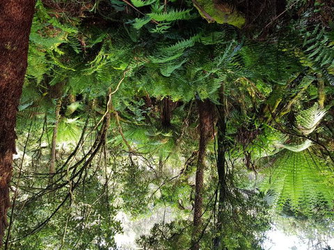 Yarra Valley Wineries And Puffing Billy Steam Train Tour From Melbourne - Darwin Holiday 6