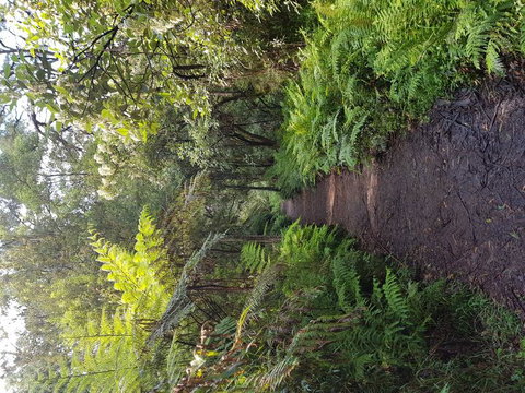 Yarra Valley Wineries And Puffing Billy Steam Train Tour From Melbourne - Darwin Holiday 8