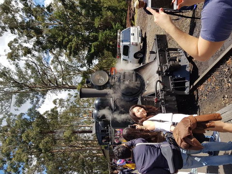 Yarra Valley Wineries And Puffing Billy Steam Train Tour From Melbourne - Darwin Holiday 5