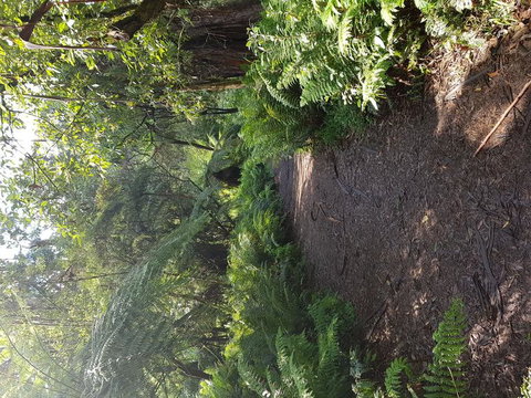 Yarra Valley Wineries And Puffing Billy Steam Train Tour From Melbourne - Darwin Holiday 9