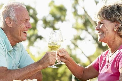 Phillip Island Wine Experience Tour - Darwin Holiday 1