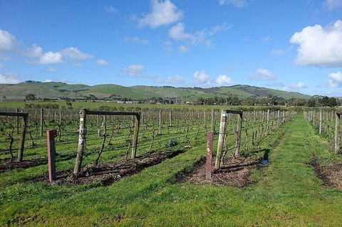 Phillip Island Wine Experience Tour - Darwin Holiday 4