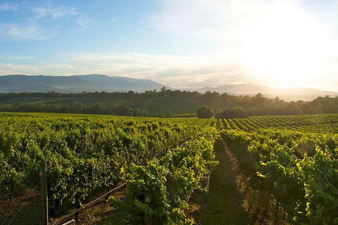 Yarra Valley Unique Experience - Darwin Holiday 3