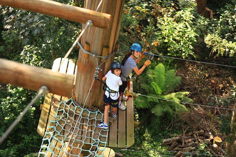 Tree Ropes And Zipline Experience In The Dandenong Ranges - Darwin Holiday 1