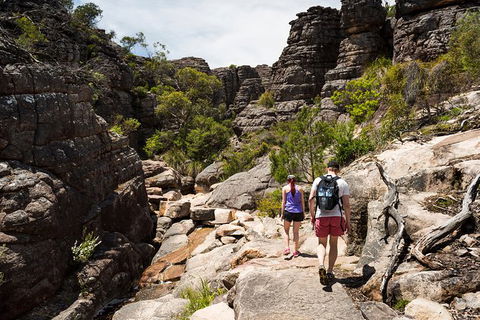 3-Day Melbourne To Adelaide Small-Group Tour Via Great Ocean Road Grampians - Darwin Holiday 3