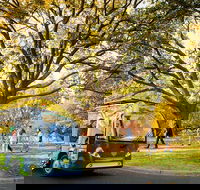 The Explorer - Melbourne Gardens - Darwin Holiday