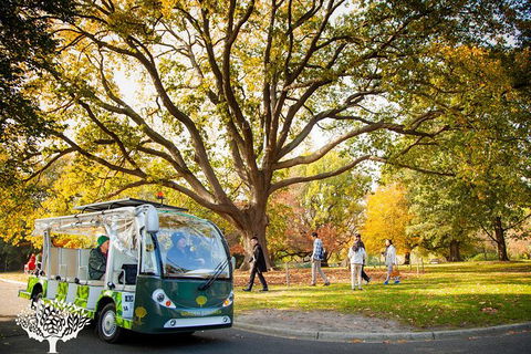 The Explorer - Melbourne Gardens - Darwin Holiday 0