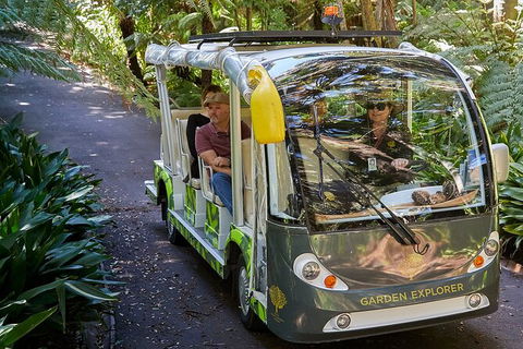 The Explorer - Melbourne Gardens - Darwin Holiday 2