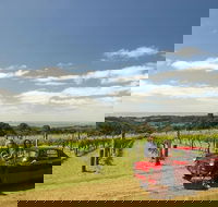 Private Tour Mornington Peninsula Behind-the-Scenes Gourmet Food and Wine Tasting Experience - Darwin Holiday