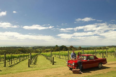 Private Tour: Mornington Peninsula Behind-the-Scenes Gourmet Food And Wine Tasting Experience - Darwin Holiday 0
