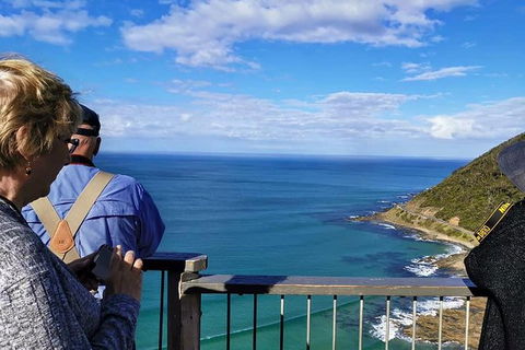 Private Combo Melbourne, Phillip Island And Great Ocean Road Tours - Darwin Holiday 4
