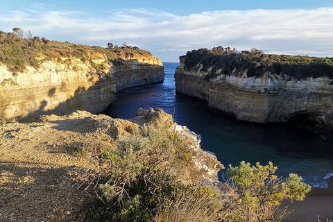 Private Combo Phillip Island And Great Ocean Road Tours - Darwin Holiday 4
