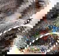 Ballarat Wildlife Park - Darwin Holiday