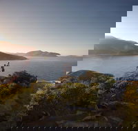 Wilsons Promontory Walks and Wildlife Tour From Melbourne - Darwin Holiday