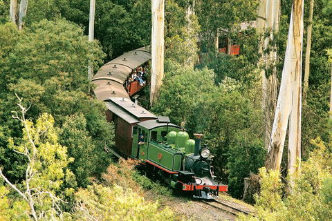 Dandenong Ranges Tour By Puffing Billy Steam Train - Darwin Holiday 1
