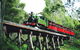 Dandenong Ranges Tour By Puffing Billy Steam Train - thumb 0