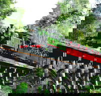 Dandenong Ranges Tour by Puffing Billy Steam Train - Darwin Holiday