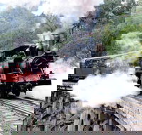 Puffing Billy  Wineries Full-Day Tour from Melbourne - Darwin Holiday