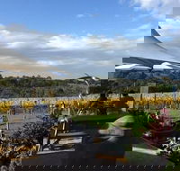 Mornington Peninsula Wine and Cheese Tasting Day Trip from Melbourne - Darwin Holiday