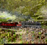 Perfect day in Melbourne for travelers on ocean cruise or short stay - Darwin Holiday