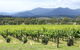 Yarra Valley Wine & Food Day Tour From Melbourne With Lunch At Yering Station - thumb 11