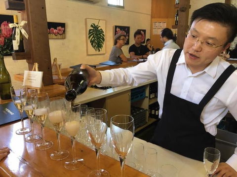 Yarra Valley Wildlife & Wine Day Tour From Melbourne With Healesville Sanctuary - Darwin Holiday 3