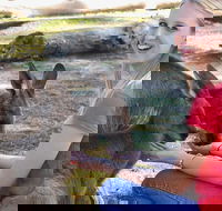 Melbourne Shore Excursion City Sights Australian Wildlife Mornington Peninsula - Darwin Holiday