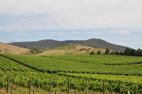 Private Yarra Valley Day Trip From Melbourne - Darwin Holiday 0