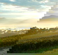 Private Yarra Valley Tour - Darwin Holiday